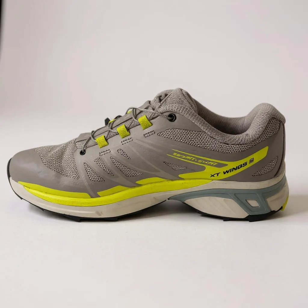 Salomon XT-wings 2 "Ashes Of Roses"